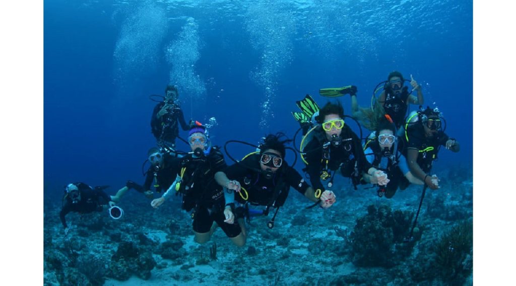 Nexos Cura Ao Mejor Destino De Buceo Del Caribe Nexos