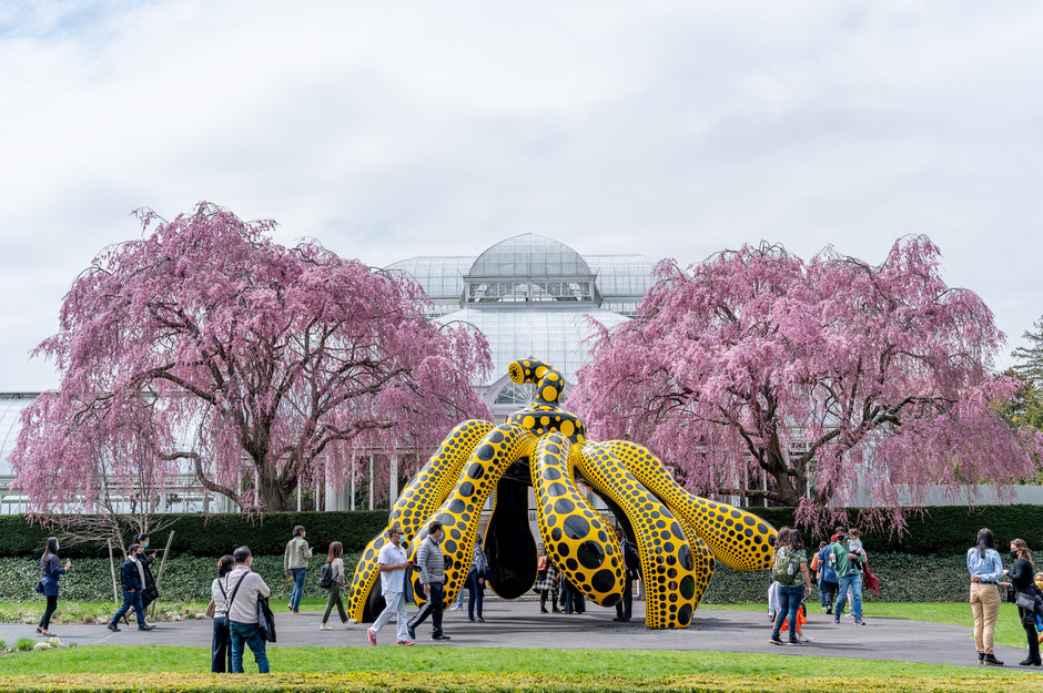 La nueva colección de Louis Vuitton y Yayoi Kusama: desde lunares de  colores a flores psicodélicas - Infobae